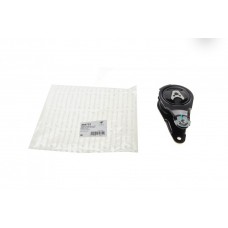 Подушка двигуна (задня) Citroen C4/Peugeot 307/308 1.8i/2.0i/2.0HDi 03-12