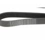 Ремінь генератора Fiat Doblo 1.3D Multijet/1.3JTD/Ford Focus 1.8/2.0 04- (6PK1310)