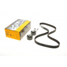Комплект ГРМ Citroen Jumpy/Peugeot Expert 2.0HDi/Fiat Scudo 2.0 JTD 99-06 (25x144z)