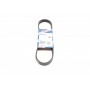Ремінь генератора Citroen Berlingo/Fiat Ducato/Peugeot Boxer/Expert 1.9 D/TD 96-03 (6PK730)
