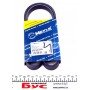 Ремінь генератора Fiat Palio/ Honda Accord IV/V/ Mitsubishi Lancer VI (5PK955)