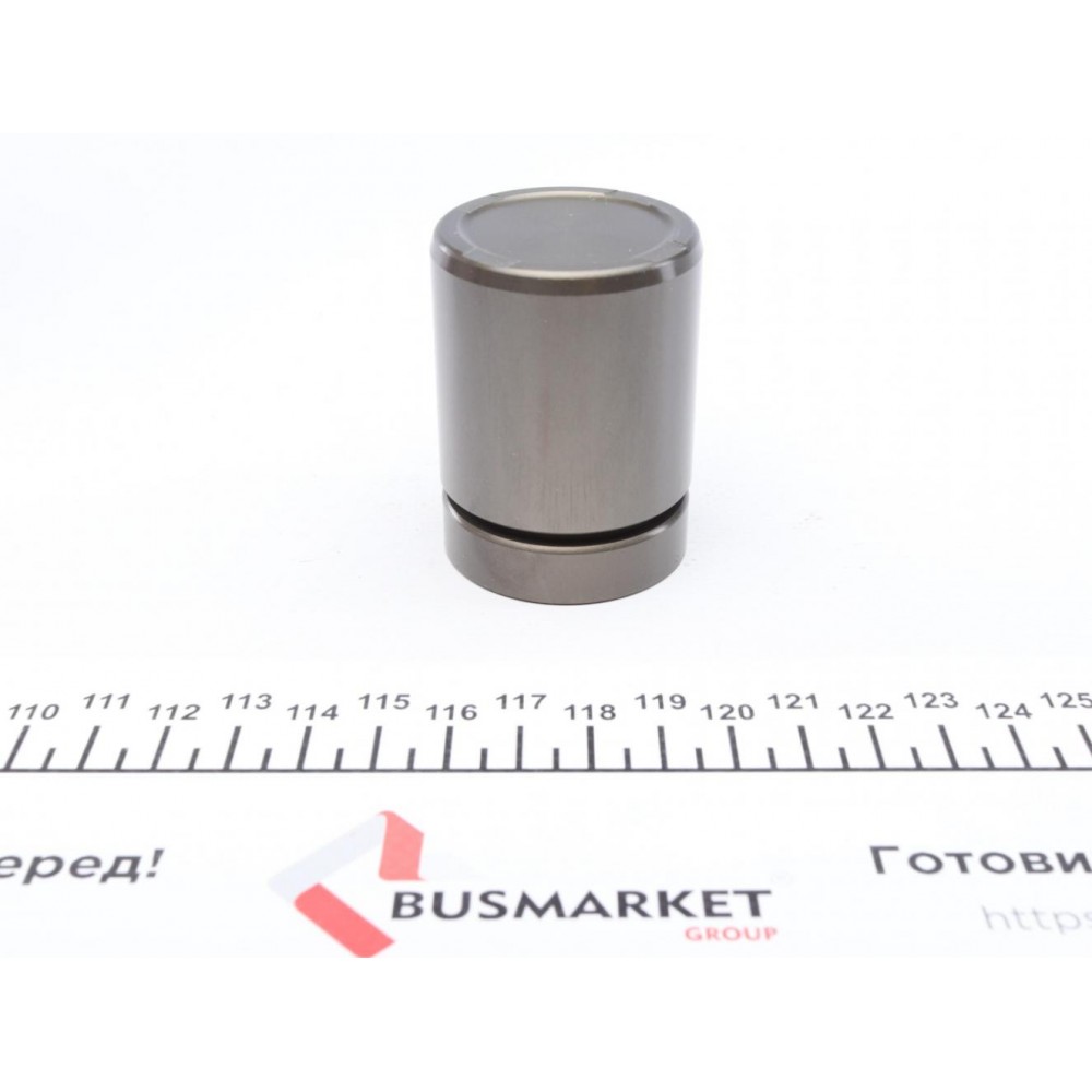 Поршень супорта (переднього) BMW 5 (E60/E61) 04- (42x55.5mm) (Ate)