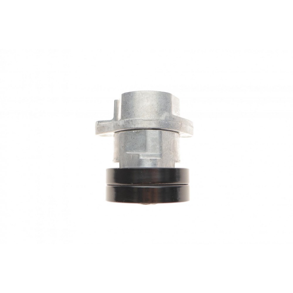Натяжник ременя генератора Chevrolet Lacetti/Opel Combo/Astra 1.4-1.8 91-