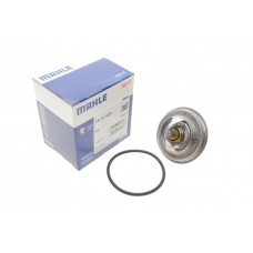 Термостат Audi A4/A6/VW Passat 2.4-2.8 97-05