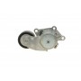 Натяжник ременя генератора Citroen/Peugeot/Ford 1.4HDi/1.6TDCi 01-