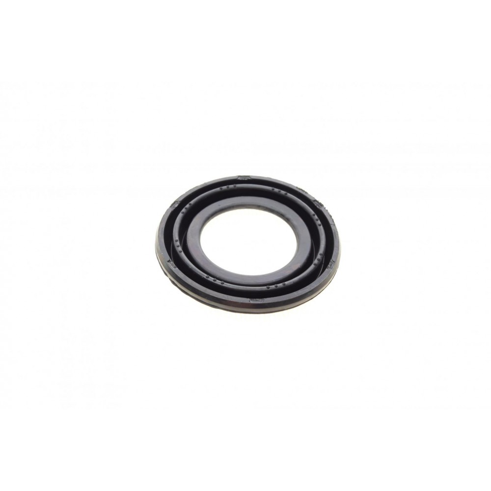 Ремкомплект супорта (заднього) Ford Transit 06-14 (d=48mm)(Bosch)(+1 поршень/направляюча) SuperKit