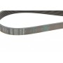 Ремінь генератора MB E-class (W211) 03-08 (OM628) (7PK2271)