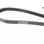 Ремінь генератора Fiat Doblo1.3-1.6 D 10-/Opel Astra F/Corsa B/Vectra B 1.4-1.8/ 94-03 (6PK1530)