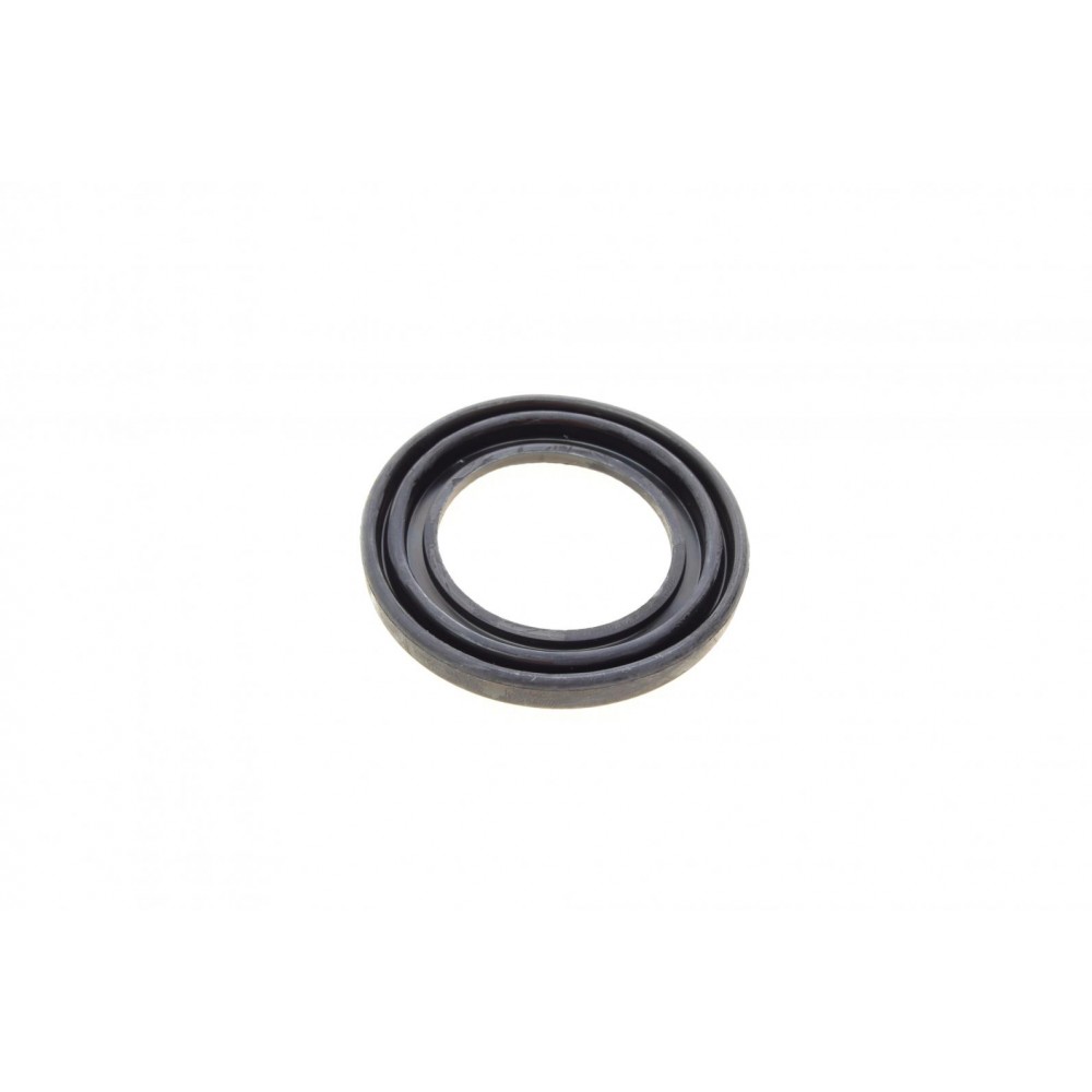 Ремкомплект супорта (заднього) Land Rover Discovery 02-12 (d=45mm) (+поршень/направляюча) (Lucas)