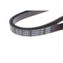 Ремінь генератора Fiat Doblo 1.4 05-/ Toyota Avensis Verso/ Previa 2.0 01-09 (5PK1146)