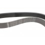 Ремінь генератора Citroen C4/C5 14-/Peugeot 208/308/4085008/508 12-