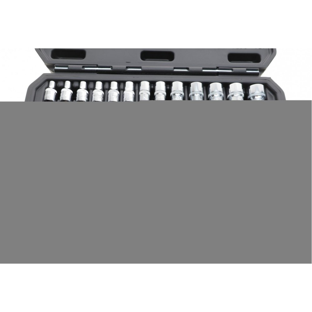 Набір головок Torx (46 предметів) 1/4