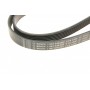 Ремінь генератора Audi A8 3.0i 03-06/Lexus GS/IS 3.0/3.5 00-11/Ford Fiesta 1.25-1.6 94-02 (6PK1930)