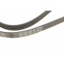 Ремінь генератора Citroen Jumper 2.8HDI 00-/Honda Accord 1.9-2.2 93-98/ Toyota Carina 2.0 96-97
