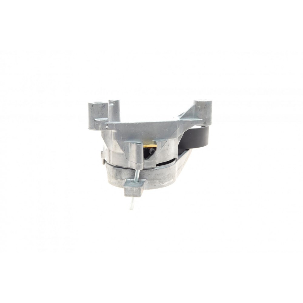 Натяжник ременя генератора VW Caddy 1.9TDI/2.0SDI 04-10 (70x25)