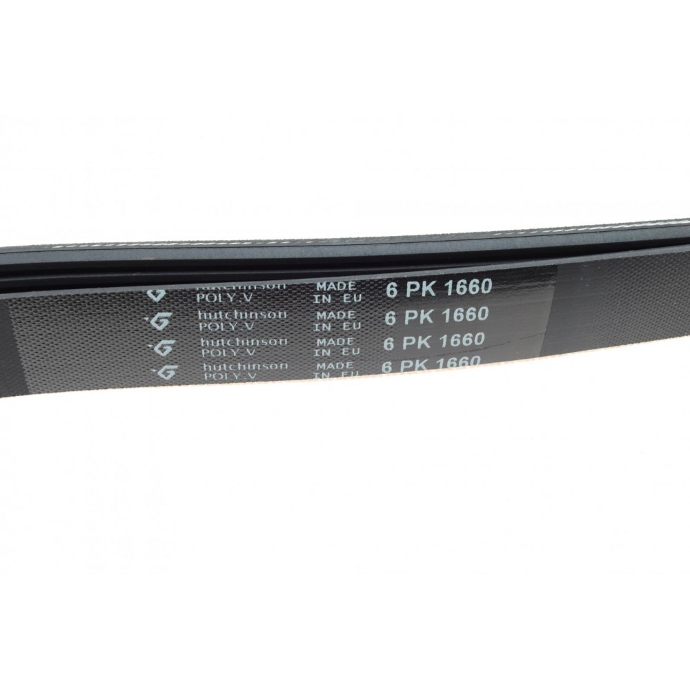 Ремінь генератора Fiat Scudo/Citroen Berlingo/VW Golf IV 1.8/1.9TDI 97- (6PK1660)