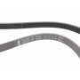 Ремінь генератора Volvo S40/S60/S80/V40/V60/V70/XC60/XC70 00- (5PK1123)