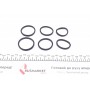 Ремкомплект супорта (переднього) Audi Q7/VW Touareg 02- (d=30/34mm) (Brembo)