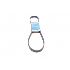 Ремінь генератора Citroen C3/C4/Peugeot 307 1.4-1.6HDi 02- (6PK1090)