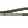 Ремінь генератора Fiat Ducato/Citroen Jumper 1.9D/TD 94-/Renault Trafic 2.5dCI 03- (6PK1153)