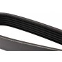 Ремінь генератора Renault Master 2.2-2.5dCi 00-/ Opel Movano/ Vivaro 2.2-2.5 DTI 00- (6PK1148)