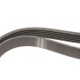 Ремінь генератора Audi A4 1.6-2.0 00-08 (6PK1570)