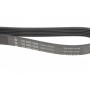 Ремінь генератора VW LT 2.8TDI 96KW/Ford Transit 2.0DI 00-