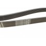 Ремінь генератора VW T5/Golf 2.3-3.2 V6 03-09/Audi A4/A6/Q5 2.0TDI 08-17 (6PK1264)