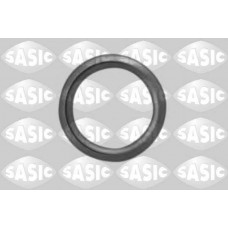 Шайба із заліза SASIC 1640020