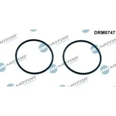 К-т прокладок помпи вакуумної, 2шт. DRMOTOR DRM0747