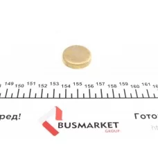Заглушка блоку циліндрів (d=27,5mm) Латунь/Brass