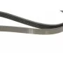 Ремінь генератора Ford Connect 1.8 TDCI 02-13 (6PK1720)