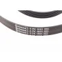 Ремінь генератора Ford Focus 1.4/1.6 98-05/Toyota Rav4 1.8 00-05/Daewoo Nubira 1.8/2.0 99-