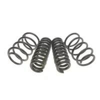 Комплект пружин (Pro-Kit) BMW 3 (F30/F80)/4 (F32/F82) 11- (4 шт.) (для авт. без рег. дор. просвіту)