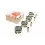 Поршень Daewoo Nexia 1.5 16V 97- (77.00mm/+0.50) (к-кт 4 шт)