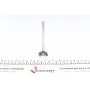Клапан (випуск) Opel Astra F/G/Vectra A/B 1.6 88-05 (31x7x101.1) (вальцювання)