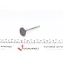 Клапан (випуск) Opel Astra F/G/Vectra A/B 1.6 88-05 (31x7x101.1) (вальцювання)