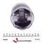 Поршень Renault Trafic/Master/Opel Vivaro 2.5CDTi (89.00mm/STD)