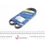 Ремінь генератора Fiat Doblo/Fiorino/Linea/Qubo 1.3JTD (4PK1022) (більше не постачається)