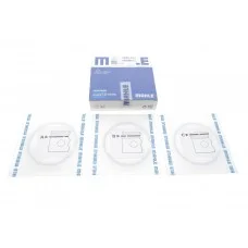 Кільця поршневі Renault R5/R9/R11/R19/R21 1.7i (F2N/F3N) 86-95 (81.00mm/STD) (1.75-2-3)