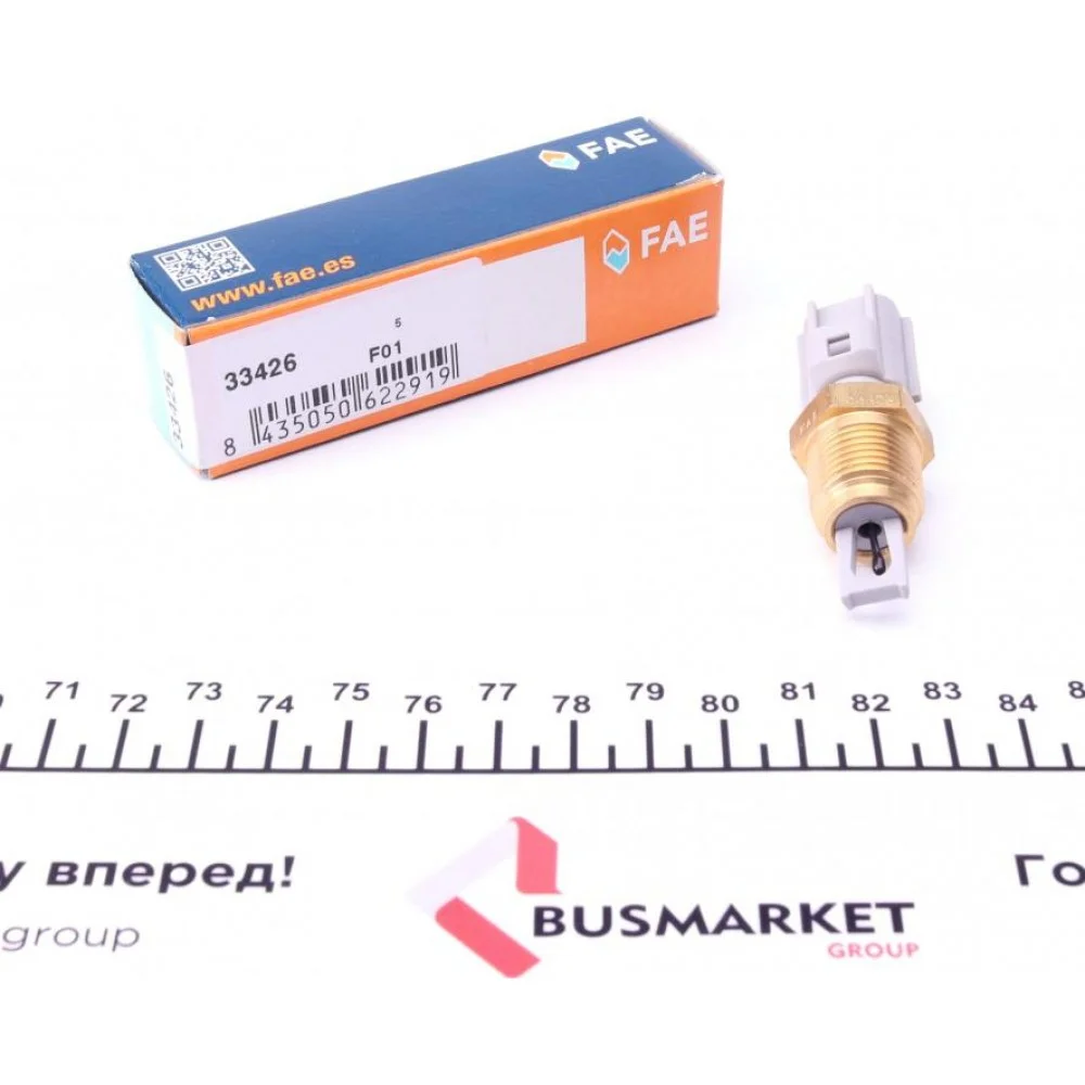 Датчик температури впуску повітря Ford Transit 2.5DI/TD 94-06 (3/8x18 NPTF) (сірий)
