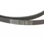 Комплект ременя генератора Skoda Superb/VW Passat B5 1.6-2.0 96-08