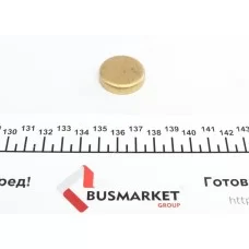 Заглушка блоку циліндрів (d=28mm) Латунь/Brass