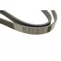 Ремінь генератора Citroen Jumper/Peugeot Boxer 3.0HDI (6PK1165)