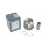 Поршень BMW 3 (E90-93)/5 (E60/E61)/X3 (E83) 2.0D 04-13 (84.0mm/STD)
