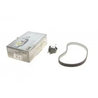 Комплект ГРМ Land Rover Discovery/Range Rover 3.0 TD 09- (20x80z)