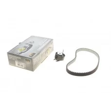 Комплект ГРМ Land Rover Discovery/Range Rover 3.0 TD 09- (20x80z)