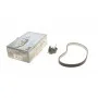 Комплект ГРМ Land Rover Discovery/Range Rover 3.0 TD 09- (20x80z)