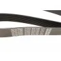 Ремінь генератора BMW 3 (F30/F80)/5 (F10)/ X5 (F15/F85)/ X6 (F16/F86) 13- (8PK1390) (N55)