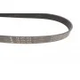 Ремінь генератора Land Rover Discovery/Range Rover 2.0/3.0 D 12-